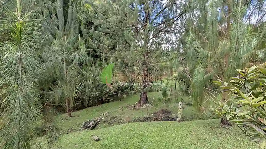 Casa Campestre de 3.318 m2 Con Dos Construcciones