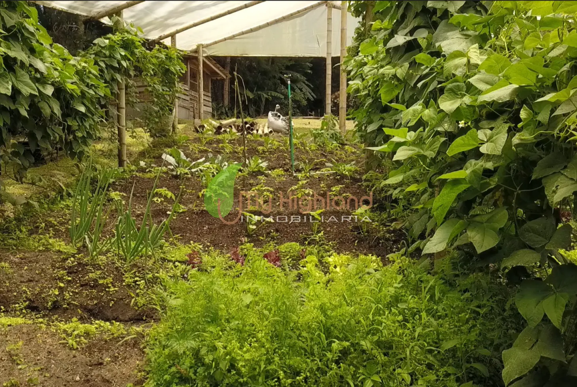 Finca en Construcción tradicional de 5.009 m² Pontezuela