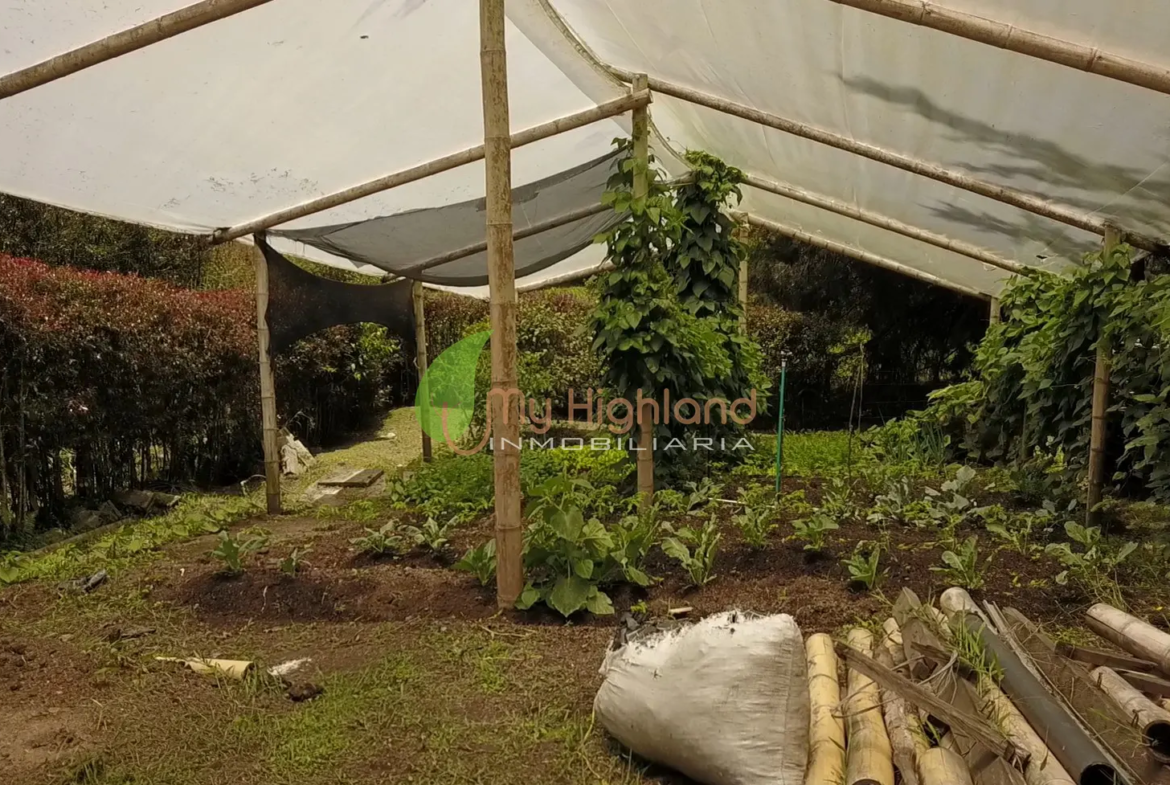 Finca en Construcción tradicional de 5.009 m² Pontezuela