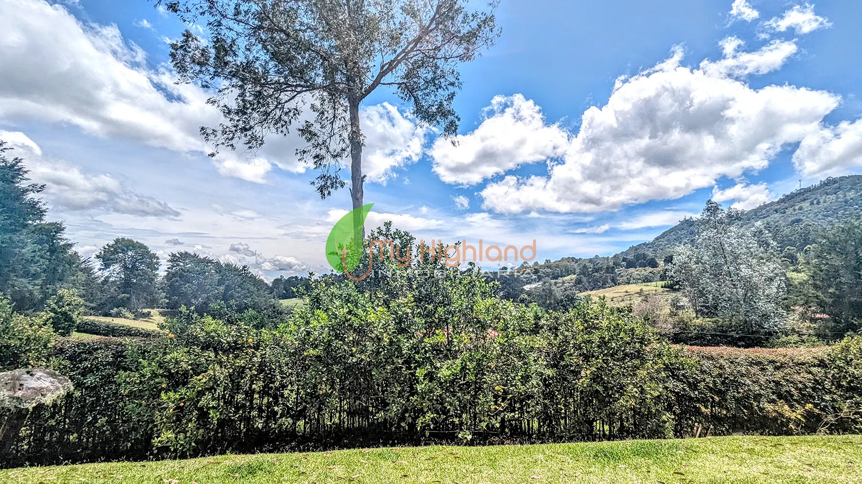 Finca en Construcción tradicional de 5.009 m² Pontezuela