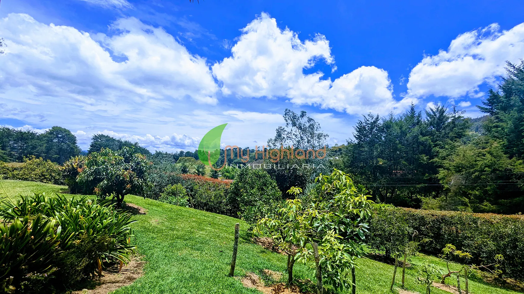 Finca en Construcción tradicional de 5.009 m² Pontezuela