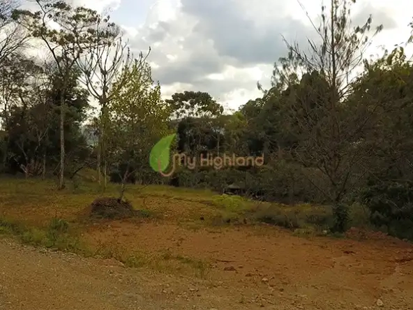 Lotes Parcelación A 5 Minutos del Parque De Guarne