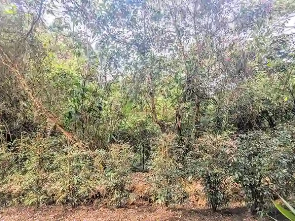 Apartamento-DE-45.46-m²-en-Obra-Gris-en-Guarne