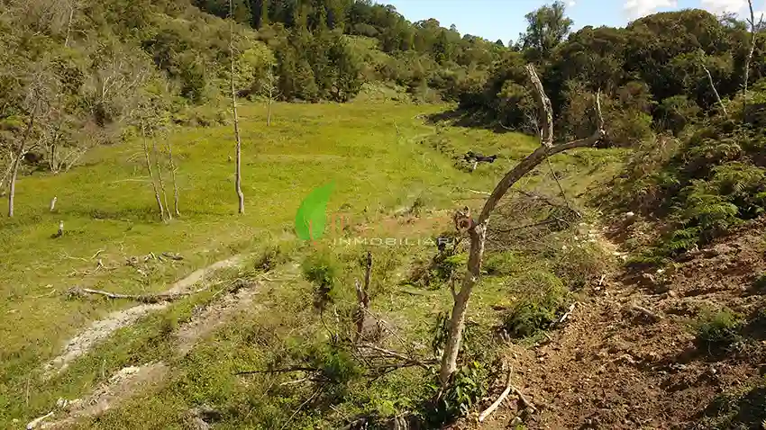 Lote para empresas de 45.081 m2 | Sector Aeropuerto JMC, Rionegro