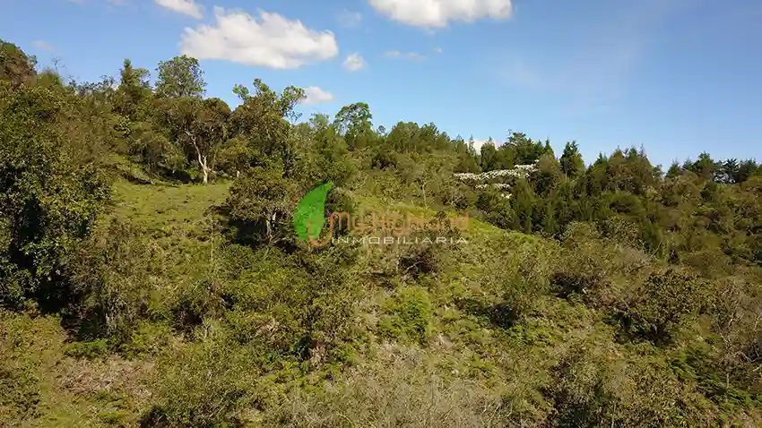 Lote para empresas de 45.081 m2 | Sector Aeropuerto JMC, Rionegro