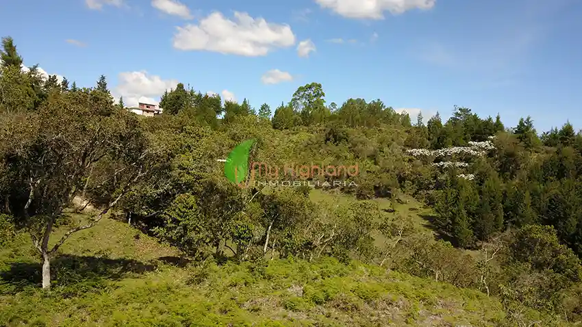 Lote para empresas de 45.081 m2 | Sector Aeropuerto JMC, Rionegro