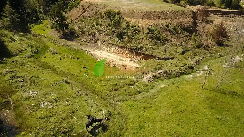 Lote para empresas de 45.081 m2 | Sector Aeropuerto JMC, Rionegro