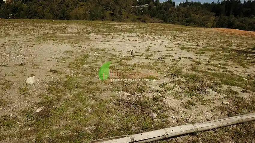 Lote para empresas de 45.081 m2 | Sector Aeropuerto JMC, Rionegro