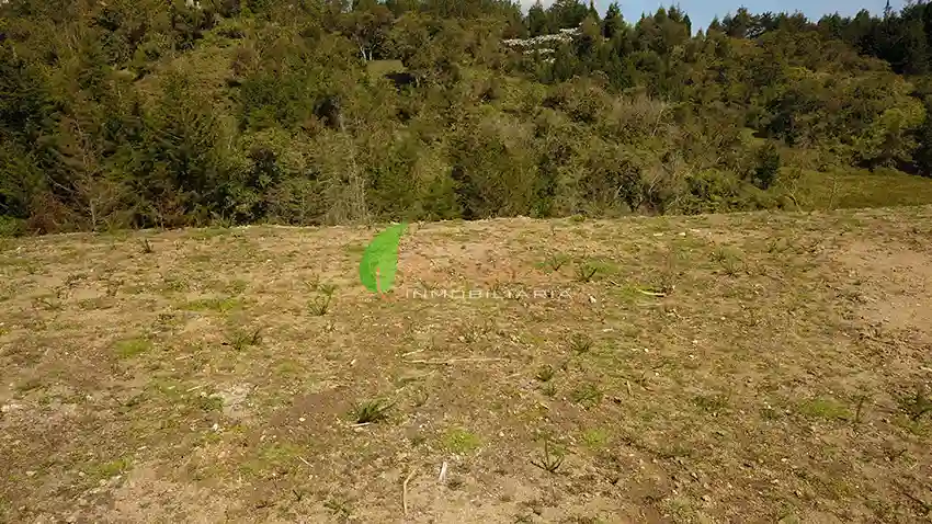 Lote para empresas de 45.081 m2 | Sector Aeropuerto JMC, Rionegro
