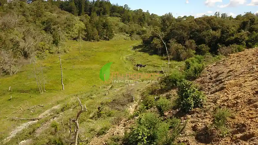 Lote para empresas de 45.081 m2 | Sector Aeropuerto JMC, Rionegro