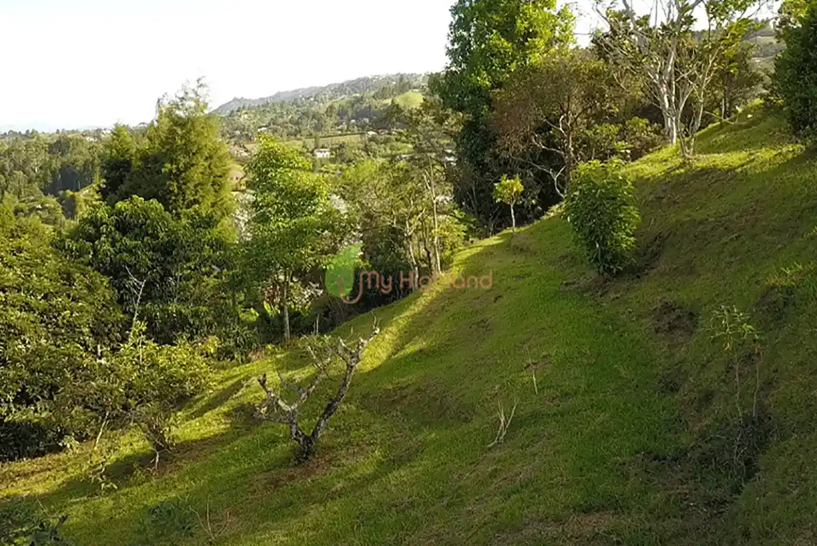 Lote independiente de 1.880 m2 en San José, Guarne | Sector Variante Aeropuerto JMC