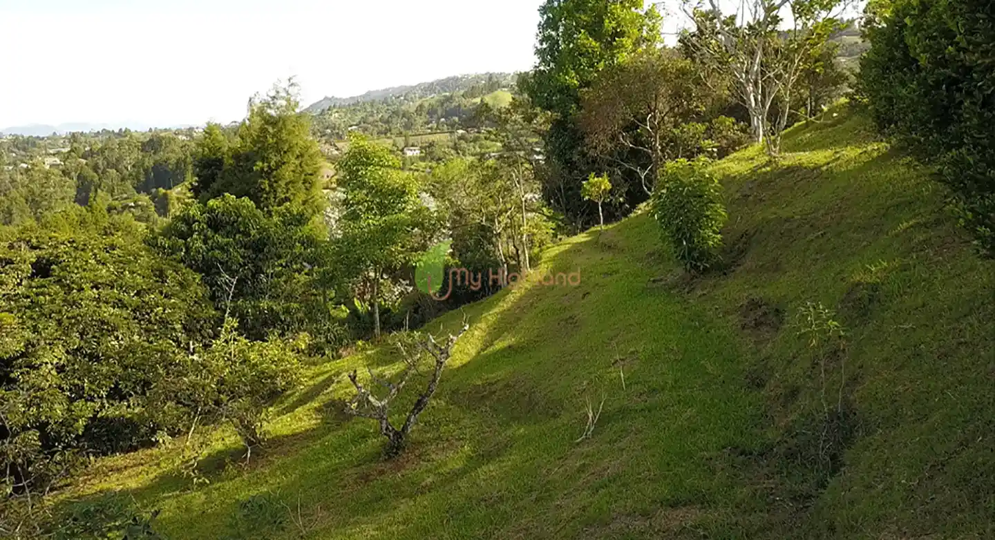 Lote independiente de 1.880 m2 en San José, Guarne | Sector Variante Aeropuerto JMC