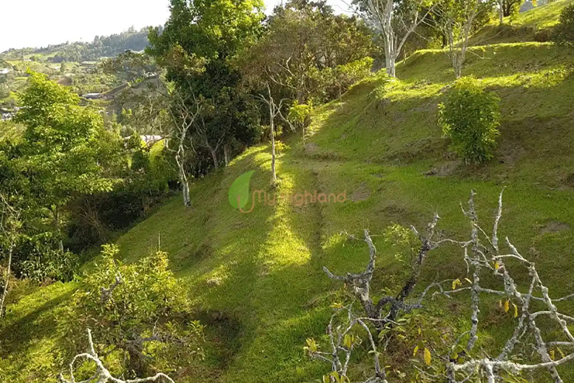 Lote independiente de 1.880 m2 en San José, Guarne | Sector Variante Aeropuerto JMC