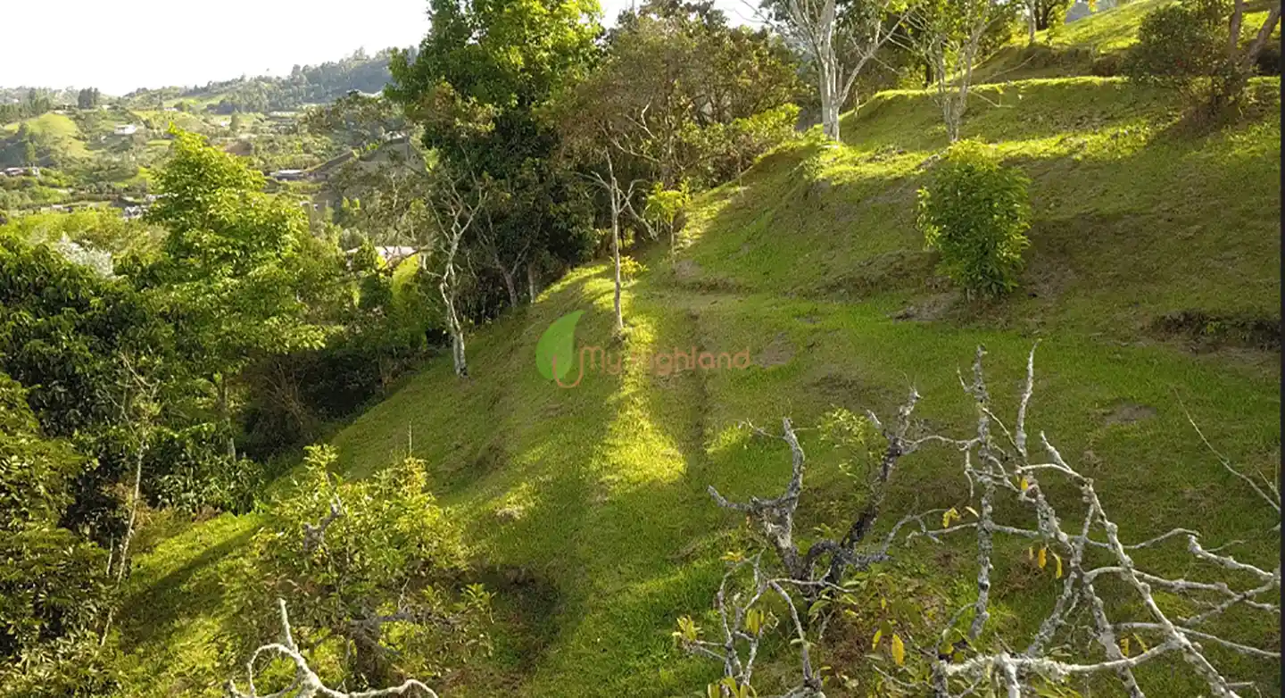 Lote independiente de 1.880 m2 en San José, Guarne | Sector Variante Aeropuerto JMC