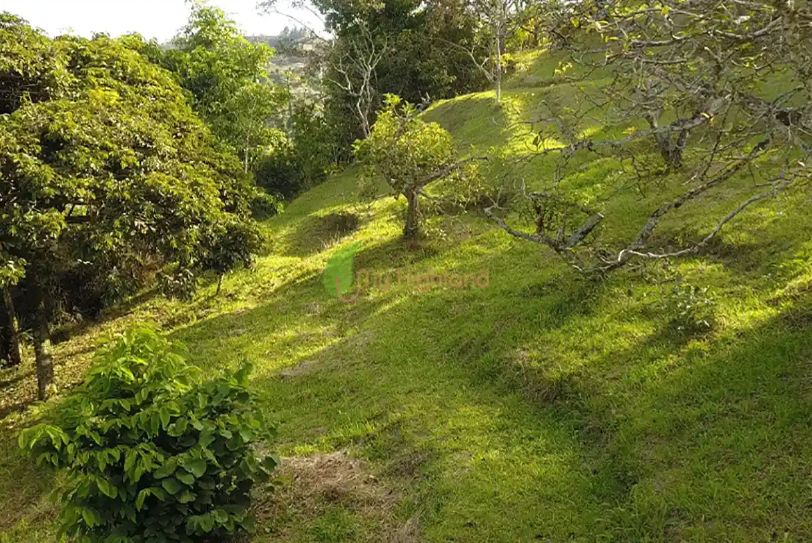 Lote independiente de 1.880 m2 en San José, Guarne | Sector Variante Aeropuerto JMC