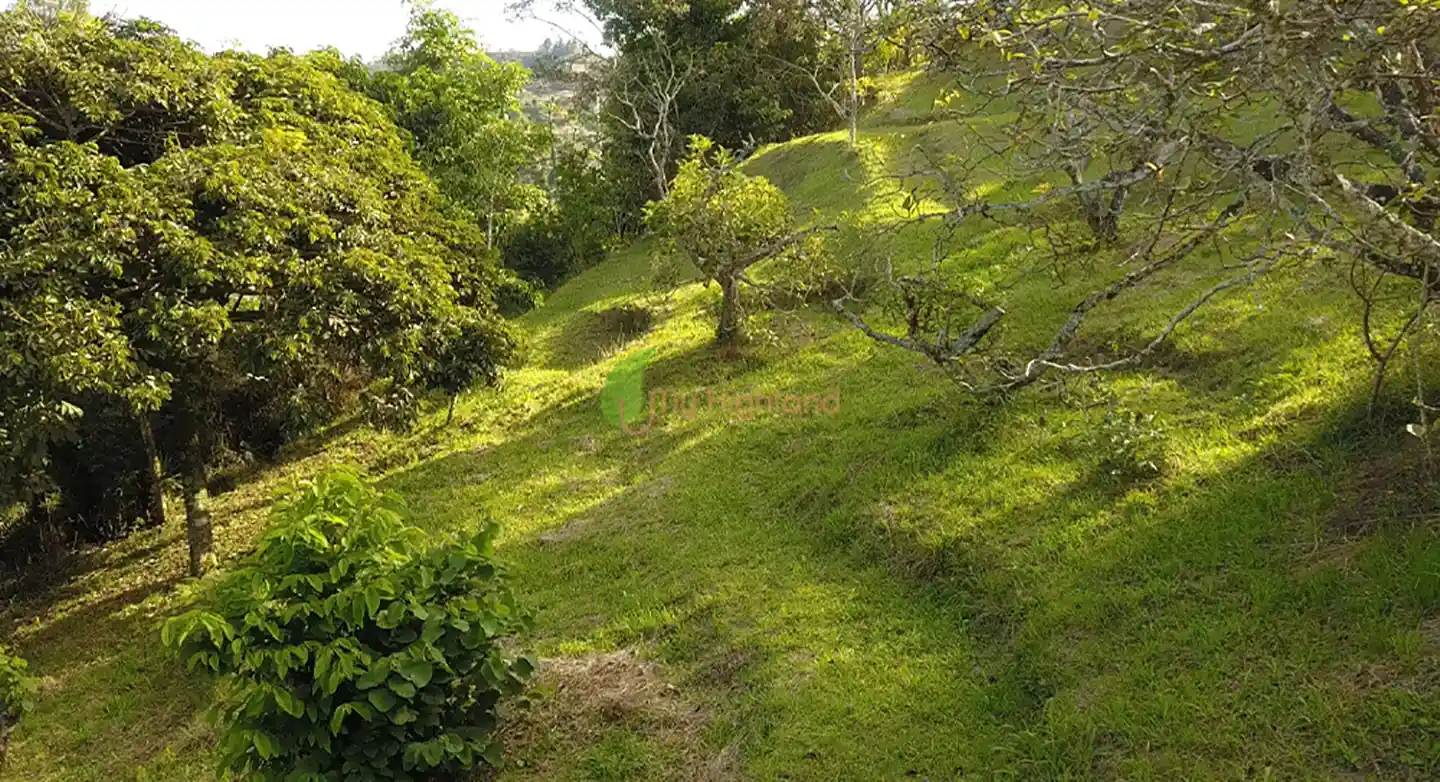 Lote independiente de 1.880 m2 en San José, Guarne | Sector Variante Aeropuerto JMC