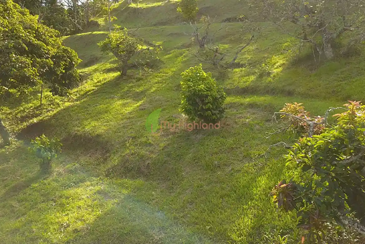 Lote independiente de 1.880 m2 en San José, Guarne | Sector Variante Aeropuerto JMC