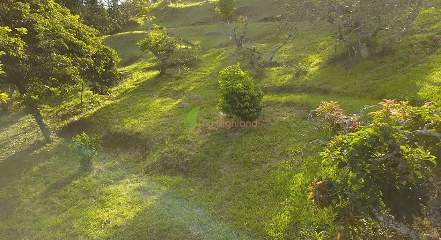 Lote independiente de 1.880 m2 en San José, Guarne | Sector Variante Aeropuerto JMC