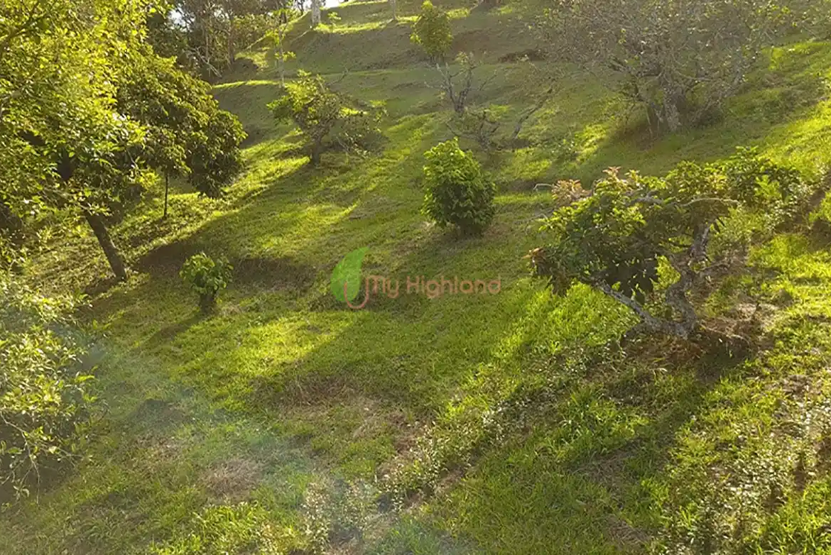 Lote independiente de 1.880 m2 en San José, Guarne | Sector Variante Aeropuerto JMC