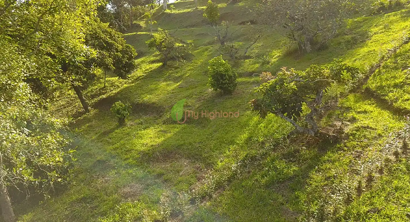 Lote independiente de 1.880 m2 en San José, Guarne | Sector Variante Aeropuerto JMC