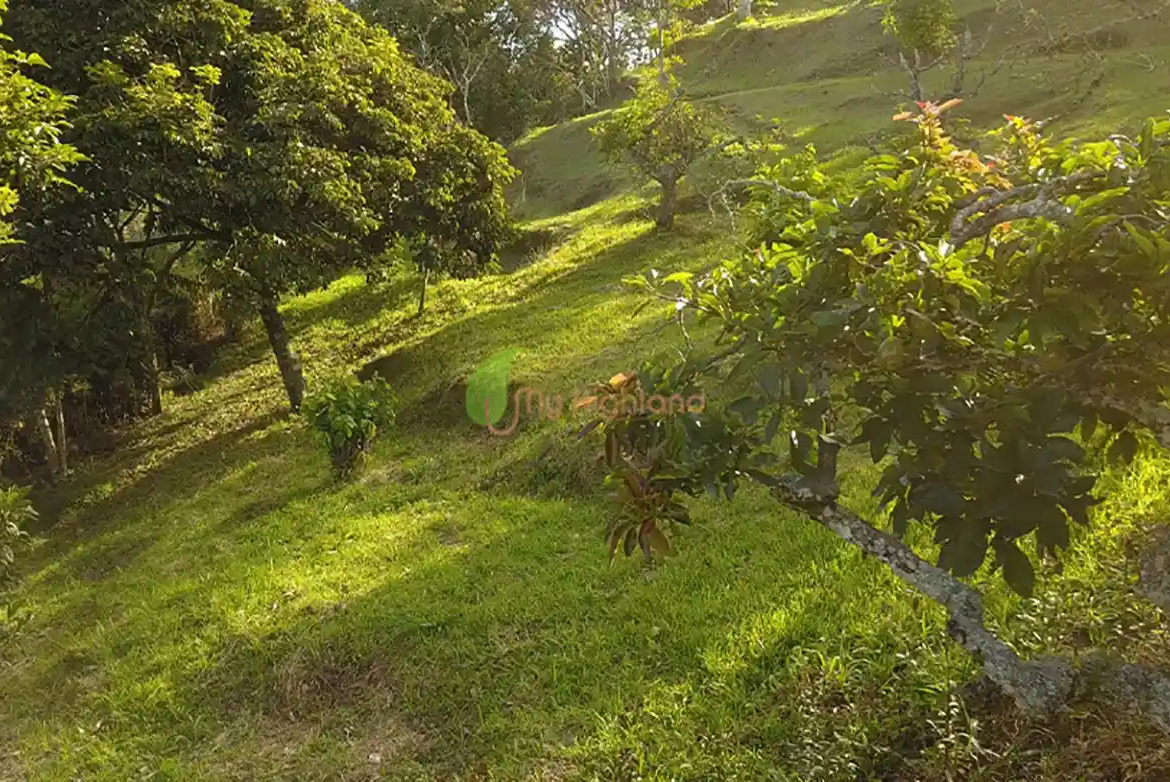 Lote independiente de 1.880 m2 en San José, Guarne | Sector Variante Aeropuerto JMC