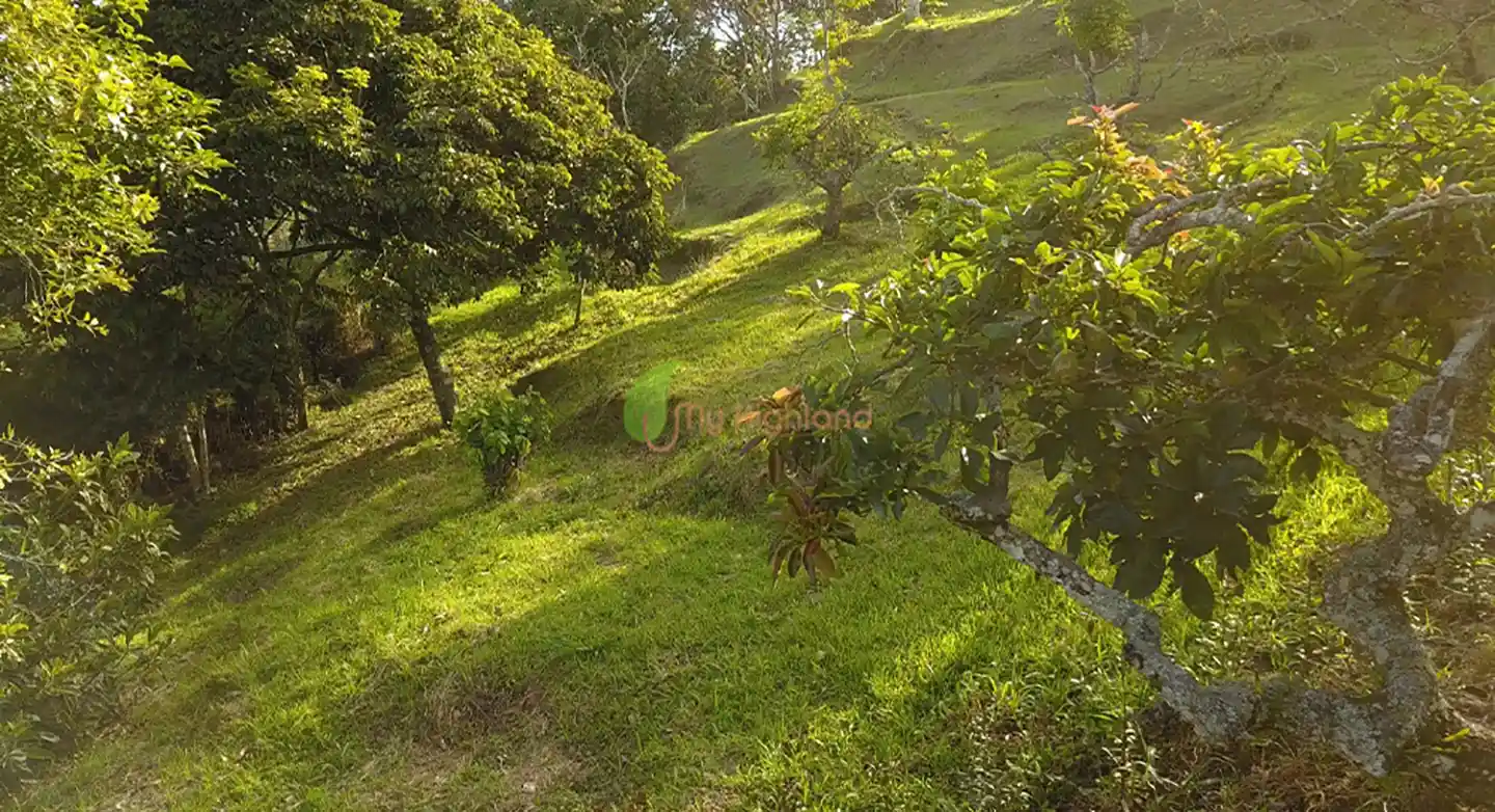 Lote independiente de 1.880 m2 en San José, Guarne | Sector Variante Aeropuerto JMC