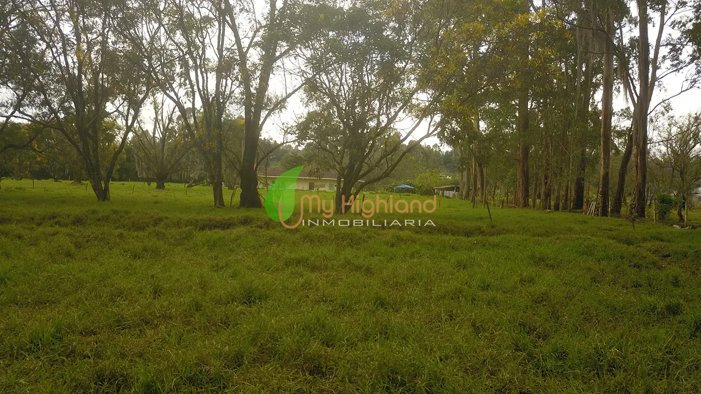 Lote industrial de 31.062 m2 sobre la Autopista Medellín–Bogotá