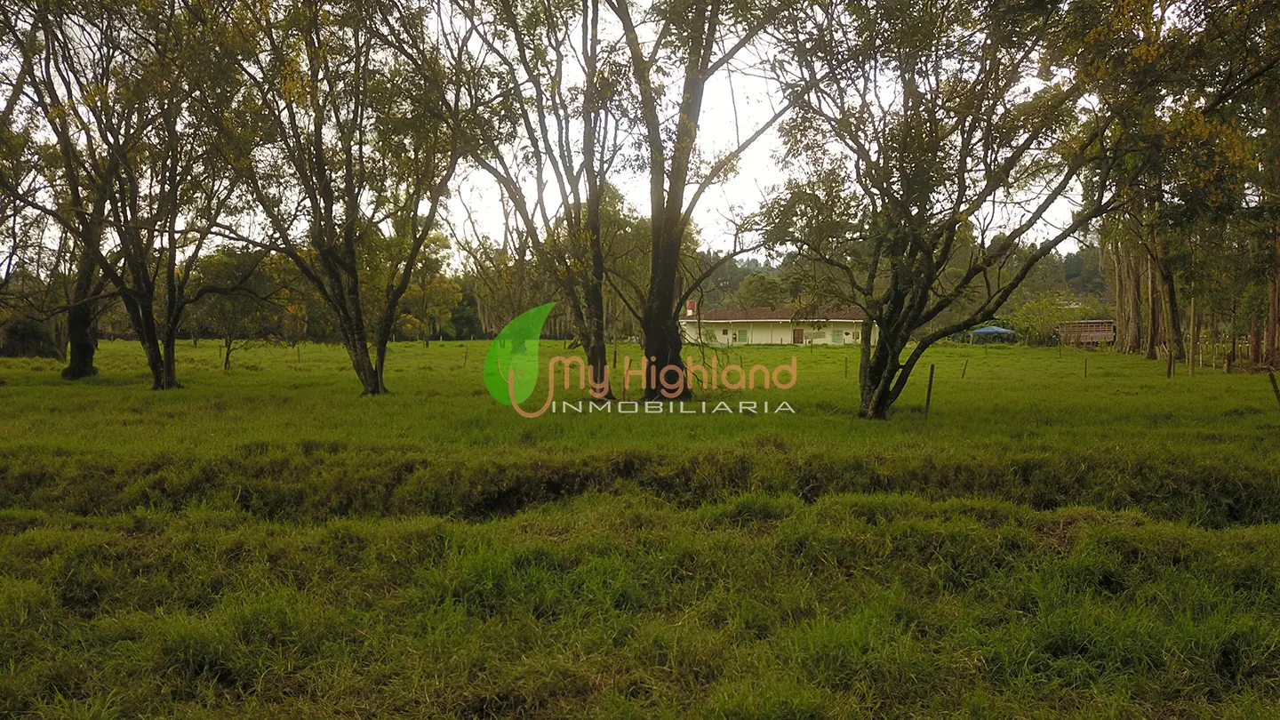 Lote industrial de 31.062 m2 sobre la Autopista Medellín–Bogotá